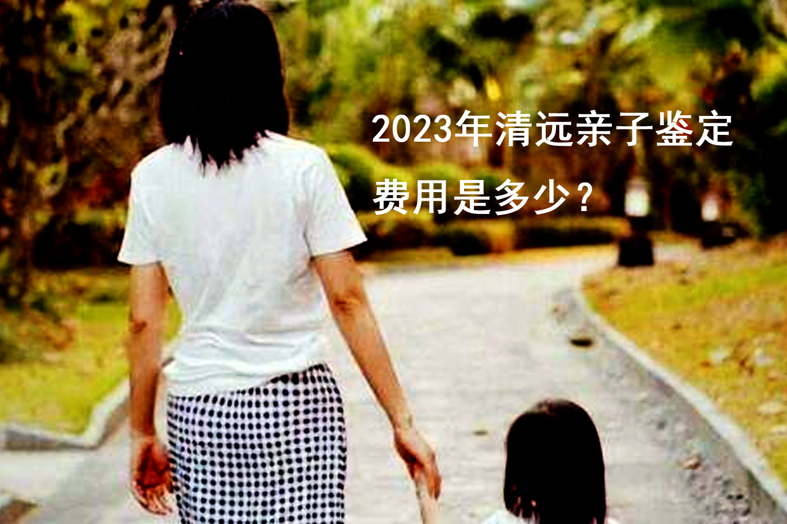 2023年清远亲子鉴定费用是多少？