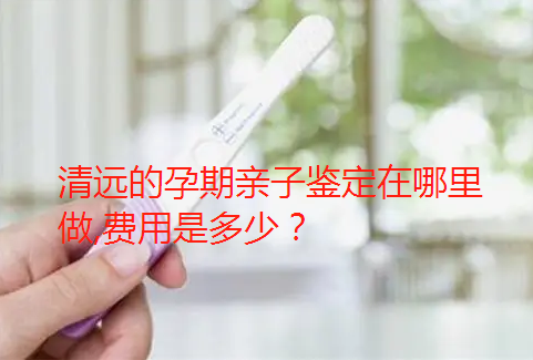 清远的孕期亲子鉴定在哪里做费用是多少？