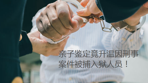 亲子鉴定竟升温因刑事案件被捕入狱人员！